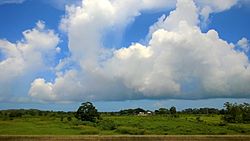 Barrio Media Luna, Toa Baja, Puerto Rico.jpg