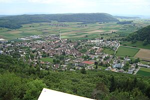 Archivo:Beringen aerial