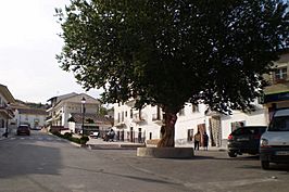 Vista de la calle Almendro, en Villanueva de las Torres