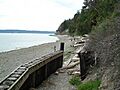 Camano Island beach 01