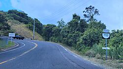 Carretera PR-7722, Cayey, Puerto Rico.jpg