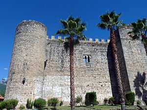 Archivo:Castillo de Arenas de San Pedro, palmeras