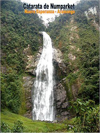 Catarata Numparket.JPG