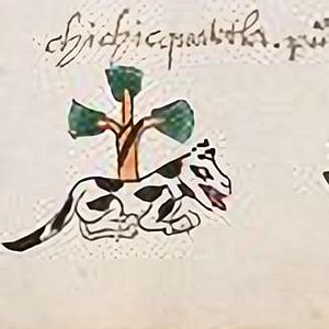 Archivo:Chichicuautla