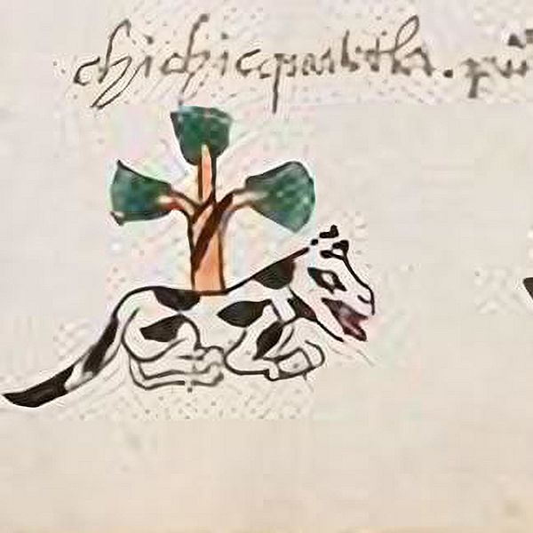 Chichicuautla