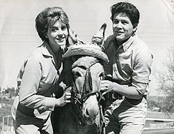 Archivo:Claudia Mores y Leo Dan, 1966