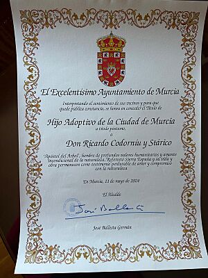 Archivo:Diploma del ayuntamiento de Murcia sobre Ricardo Cordoniu y Stárico