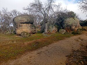 Archivo:El Berrocal
