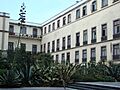 El jardín de la Emperatriz I
