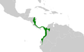 Epinecrophylla fulviventris map