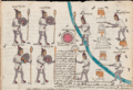 Espías obteniendo información de un pueblo rebelde del Imperio mexica, en el folio 67r
