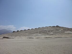 Archivo:Foto torres de chankillo