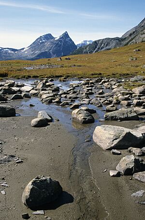 Archivo:Fraser Pass