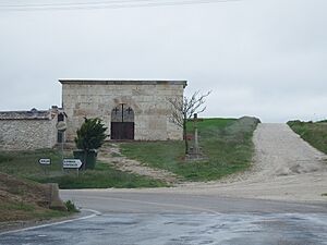 Archivo:Fuentes de Cuéllar, Segovia 01