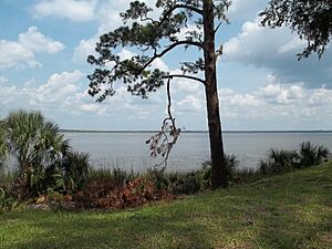 Archivo:GA Richmond Hill Fort McAllister Ogeechee River02