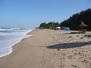 Archivo:GambiaKoliliBeach049 (5426224792)