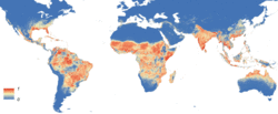 Distribución mundial de Aedes aegypti. El mapa muestra la probabilidad de aparición.
