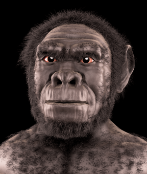 Archivo:Homo habilis - forensic facial reconstruction