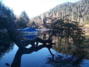 Archivo:Lago Espejo Chico 3