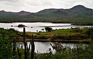 Archivo:Lago de Goto (Parque Nacional Washington Slagbaai)