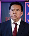 Meng Hongwei
