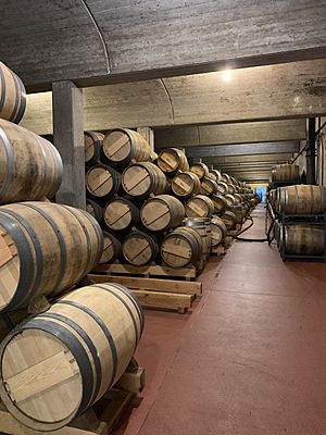 Archivo:Muga Wine cellar