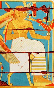 Nawidemak (Lepisus).jpg