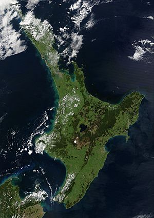 Archivo:NewZealand.A2002296.2220.250m North Island crop