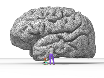 Archivo:Nicolas P. Rougier's rendering of the human brain