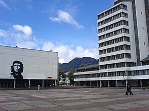 Archivo:Plaza Che, Bogotá