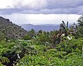 Ponce as Viewed from the Mountains