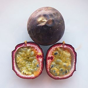 Archivo:Purple passionfruit