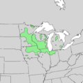 Quercus ellipsoidalis range map 1