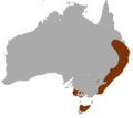 Red-necked Wallaby area