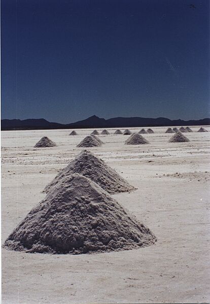 SalarUyuni2