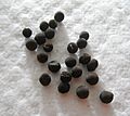 Sweet pea (Lathyrus odoratus) seeds