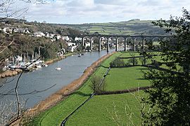 The Tamar downstream from Calstock - geograph.org.uk - 673402