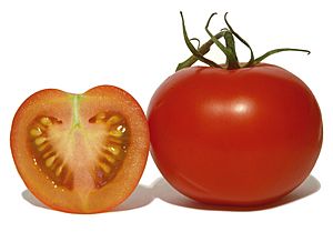 Archivo:Tomatoes2