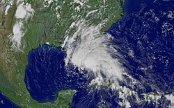 Archivo:Tropical Storm Arlene 050610 1845z