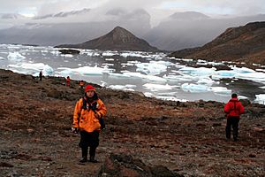 Archivo:Tundra and icebergs in arctic