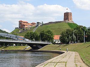 Archivo:Upper Castle in Vilnius (2013)