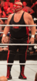 VaderWWE2012