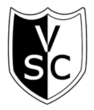 VitoriaSC-1924.png