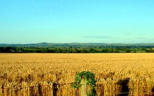 Archivo:040719 172 dorset marnhull2