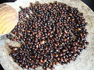 Archivo:090628 roasted zompopos de mayo