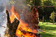 Archivo:12-. Asado de vaquilla con cuero