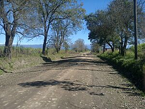 Archivo:A 200 metros, ingreso al Churqui - Villa Bergrano