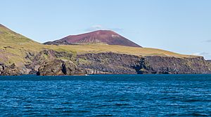 Archivo:Acantilados de Heimaey, Islas Vestman, Suðurland, Islandia, 2014-08-17, DD 058