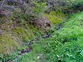Arroyo montouto