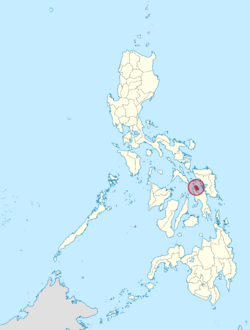 Biliran in Philippines (special marker).svg